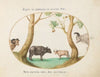 A Variety of Oxen with a Ram and a Water Buffalo by a Plane Tree (1575-1590)