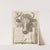 A Variety of tame and wild animals, studies from nature – Title (1793) by Martin Ferdinand Quadal