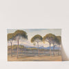 A View of the Pine Woods Above Cannes (1869) by Edward Lear
