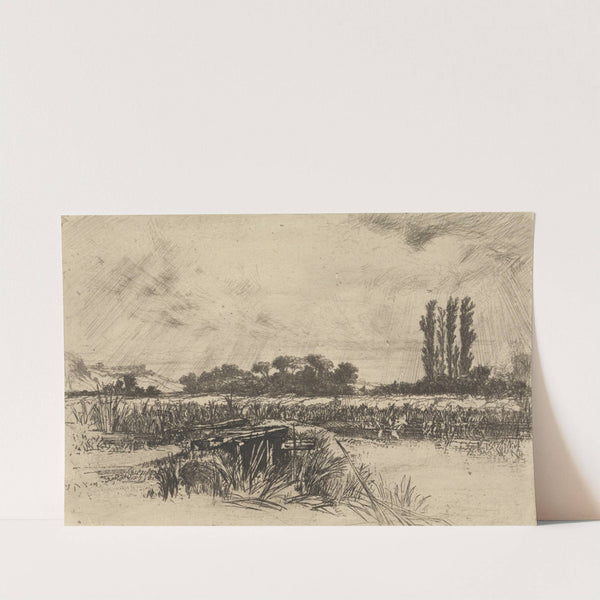 A Water Meadow (1859) by Francis Seymour Haden