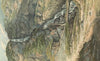 A Waterfall