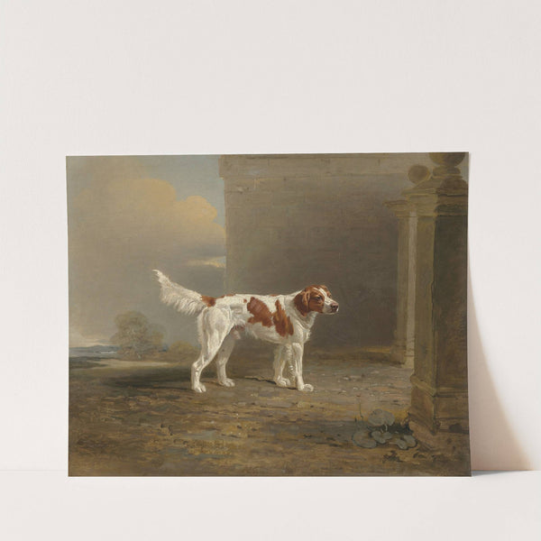 A white setter in a landscape by a gateway (1802) by Ben Marshall