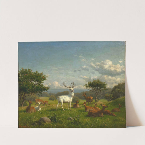 A white stag with its pack by Carl Bøgh