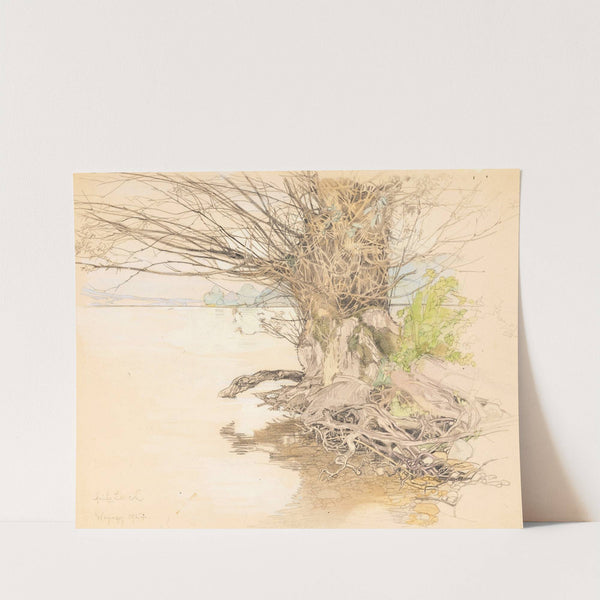 A willow tree at the lake shore by Fritz Lach