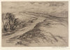 A Windswept Road
