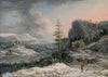 A Winter Scene