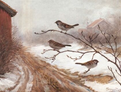 A winter scene with birds