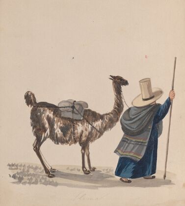 A woman walking with a Llama