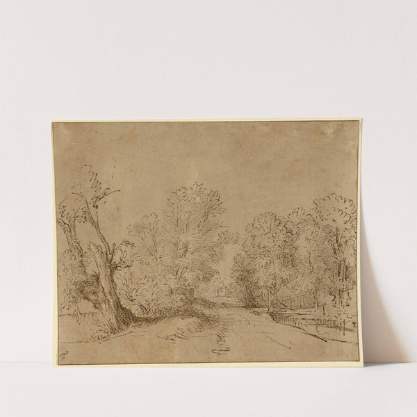 A Wooded Road by Rembrandt van Rijn