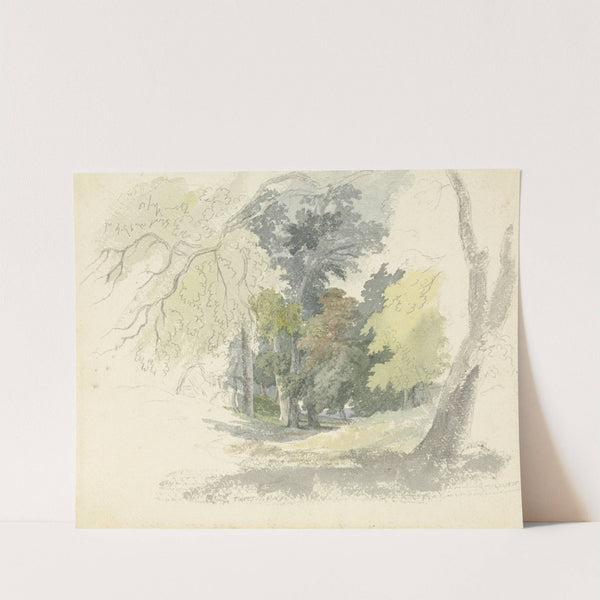 A Woodland Glade by Robert Hills