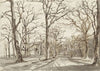 A Woodland Path in Rosenthal in Winter