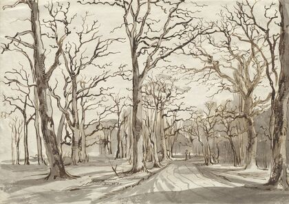 A Woodland Path in Rosenthal in Winter