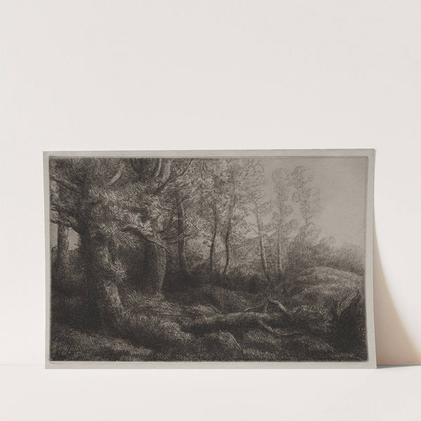 A Woodland Study (c. 1857–1911) by Alphonse Legros