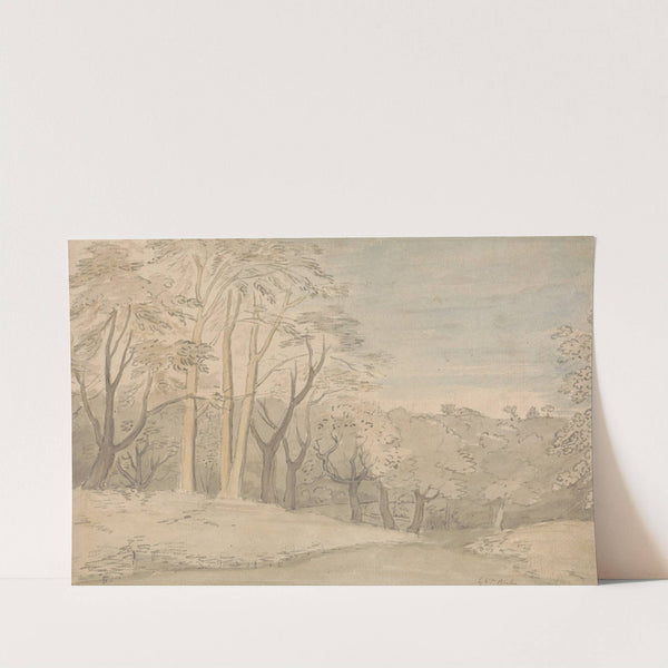 A Woody Landscape by William Blake