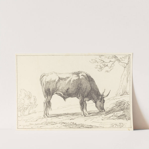 A Young Bull Grazing by Hendrik Voogd