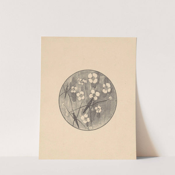 Aankondiging met insecten en bloemen voor serie 'Dierstudies' by Theo van Hoytema