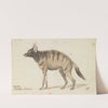Aardwolf (1837) by Charles Hamilton Smith