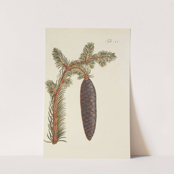 Abbildung der wilden Bäume, Stauden und Buschgewächse Pl.015 by Carl Christoph Oelhafen von Schöllenbach