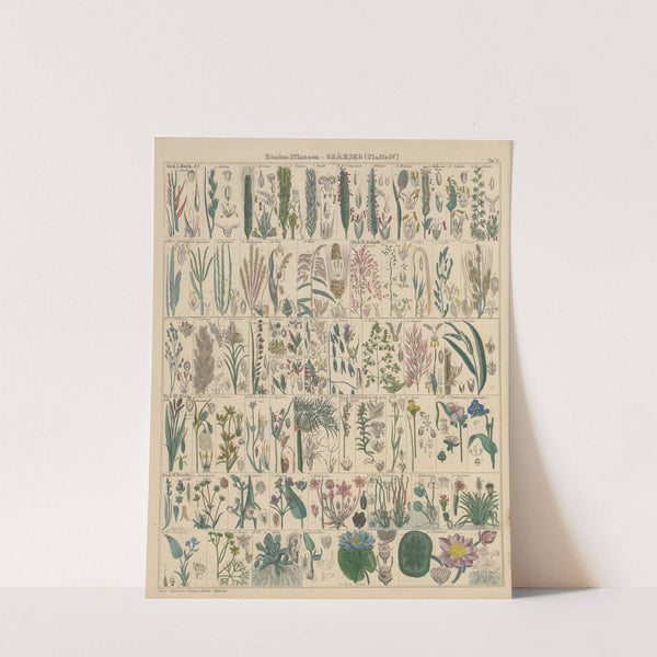 Abbildungen zu Oken’s Allgemeiner Naturgeschichte für alle Stände Pl.011 (1841) by Lorenz Oken