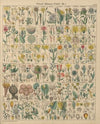 Abbildungen zu Oken’s Allgemeiner Naturgeschichte für alle Stände Pl.014 (1841)