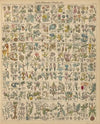Abbildungen zu Oken’s Allgemeiner Naturgeschichte für alle Stände Pl.016 (1841)