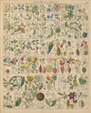 Abbildungen zu Oken’s Allgemeiner Naturgeschichte für alle Stände Pl.017 (1841)