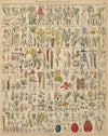 Abbildungen zu Oken’s Allgemeiner Naturgeschichte für alle Stände Pl.021 (1841)