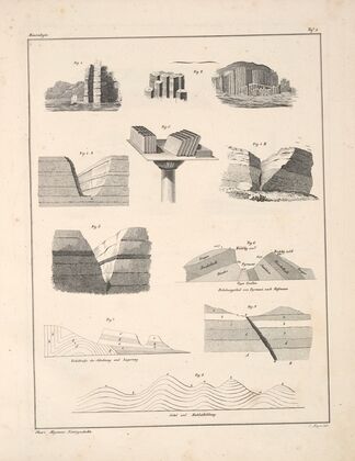 Abbildungen zu Oken’s Allgemeiner Naturgeschichte für alle Stände Pl.143 (1841)