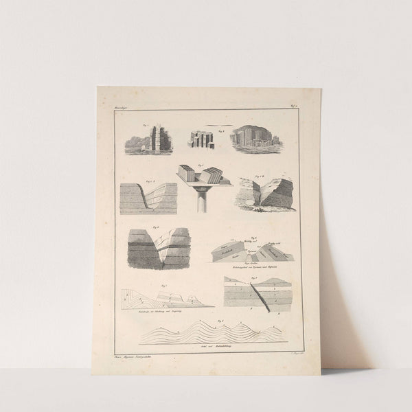 Abbildungen zu Oken’s Allgemeiner Naturgeschichte für alle Stände Pl.143 (1841) by Lorenz Oken