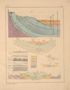 Abbildungen zu Oken’s Allgemeiner Naturgeschichte für alle Stände Pl.144 (1841)