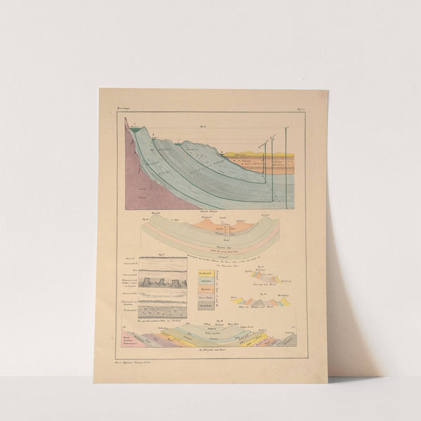 Abbildungen zu Oken’s Allgemeiner Naturgeschichte für alle Stände Pl.144 (1841) by Lorenz Oken