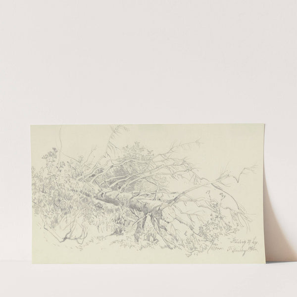 Abgesägter Nadelbaum bei Starnberg (1865) by Fritz Bamberger