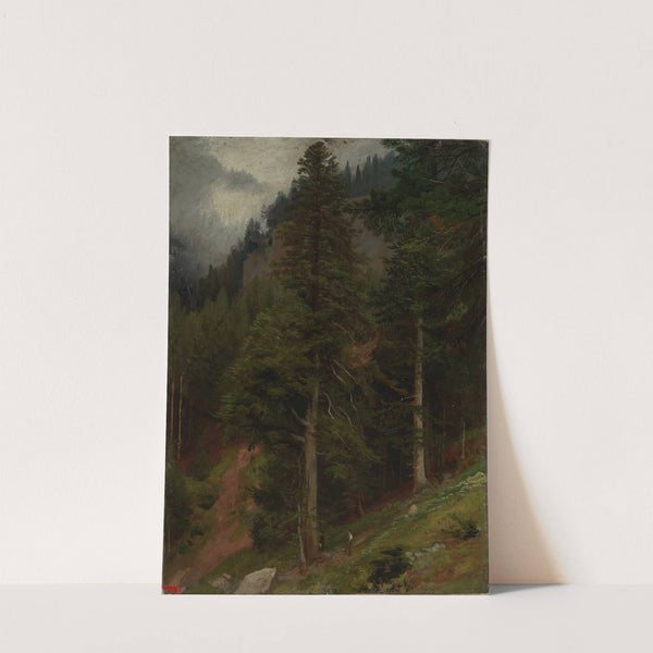 Abhang im Tannenwald by Johann Wilhelm Schirmer