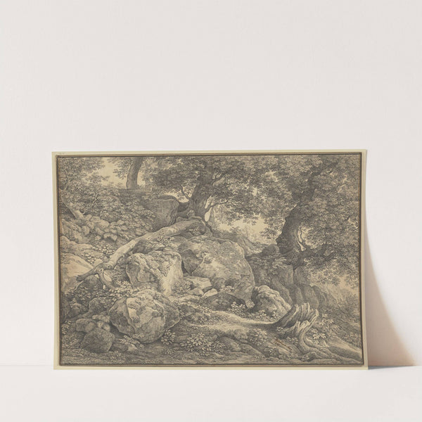 Abhang mit Felsblöcken und Ölbäumen im Park der Prinzen Chigi zu Ariccia by Johann Christian Reinhart