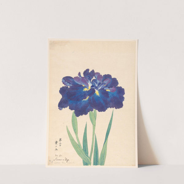 Above the Clouds (Kumo no Uye) (1910)