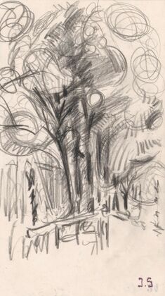 Abstract Bouquet