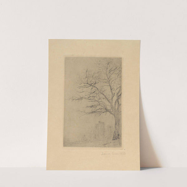 Acacia by James Ensor