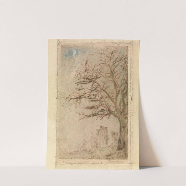 Acacia by James Ensor