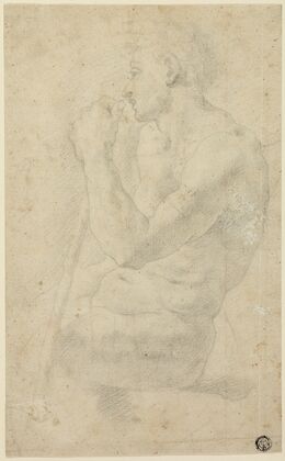 Academic Male Nude