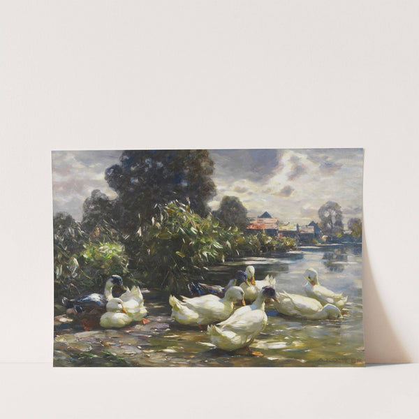 Acht Enten am Wasser (1915-1920) by Alexander Koester