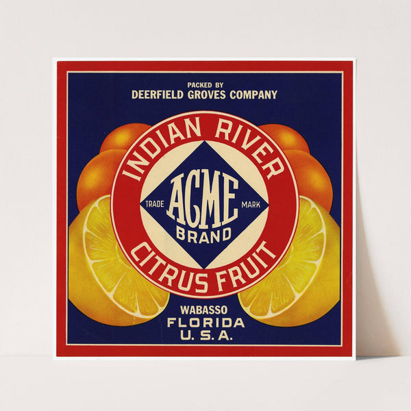 Acme Brand Indian River Citrus Fruit Label (1940)