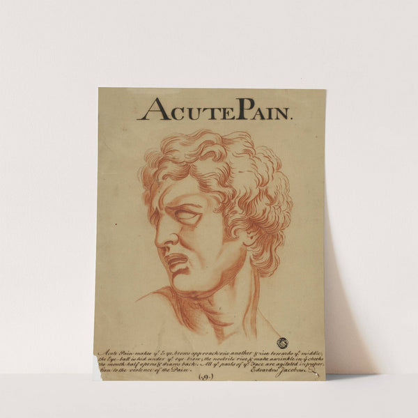 Acute Pain by Eduardus Jacobus