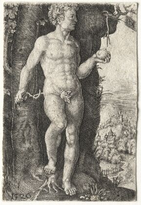 Adam (1526)