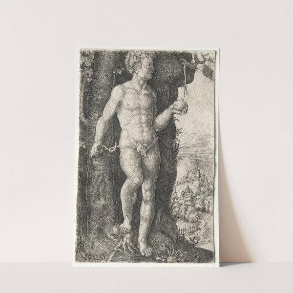 Adam (1526) by Jacob Binck