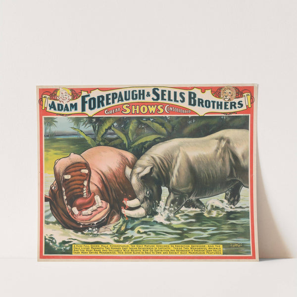 Adam Forepaugh and Sells Brothers great shows consolidated. A huge full grown male hippotamus,…. (1898) by Strobridge & Co. Lith.