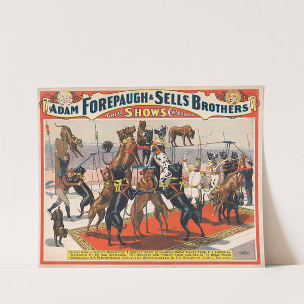 Adam Forepaugh and Sells Brothers great shows consolidated–Colonel Magnus Schult’s magnificent 5,000,00 (sic) troup of champion great danes (1898) by Strobridge & Co. Lith.