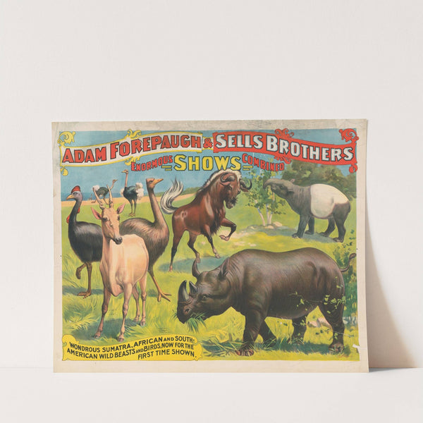 Adam Forepaugh & Sells Brothers enormous shows combined. Wondrous Sumatra, African and South-American wild beasts and birds, … (1896) by Strobridge & Co. Lith.