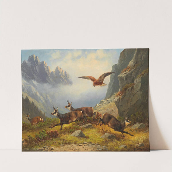 Adler auf Gemsenjagd by Moritz Müller