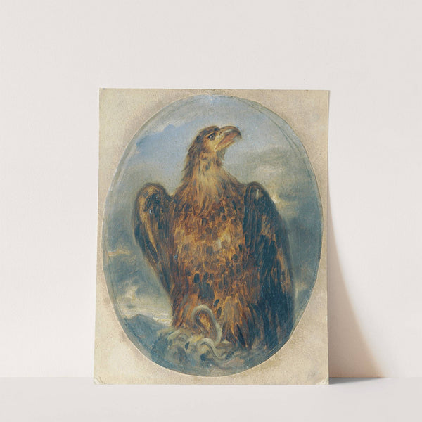 Adler by Joseph Hasslwander