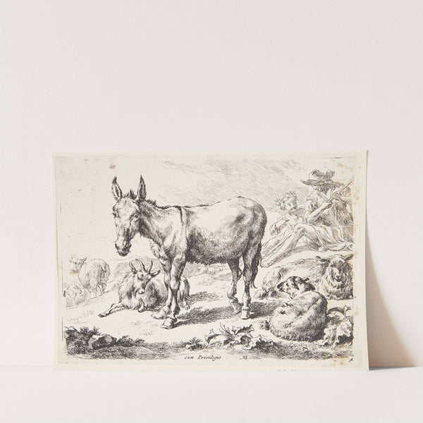 Æsel og geder by Nicolaes Pietersz. Berchem